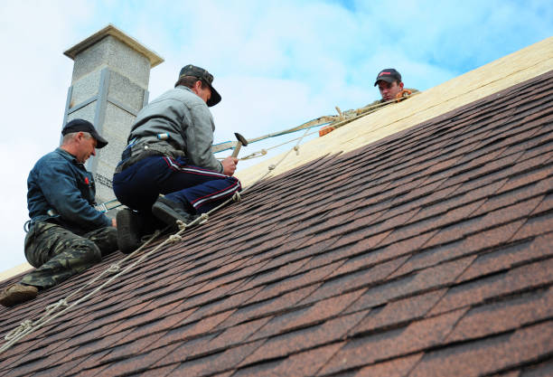 Quick and Trustworthy Emergency Roof Repair Services in Town N Country, FL